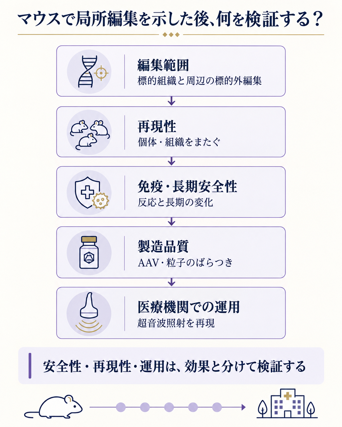 局所編集の研究を治療候補へ進めるために残る検証