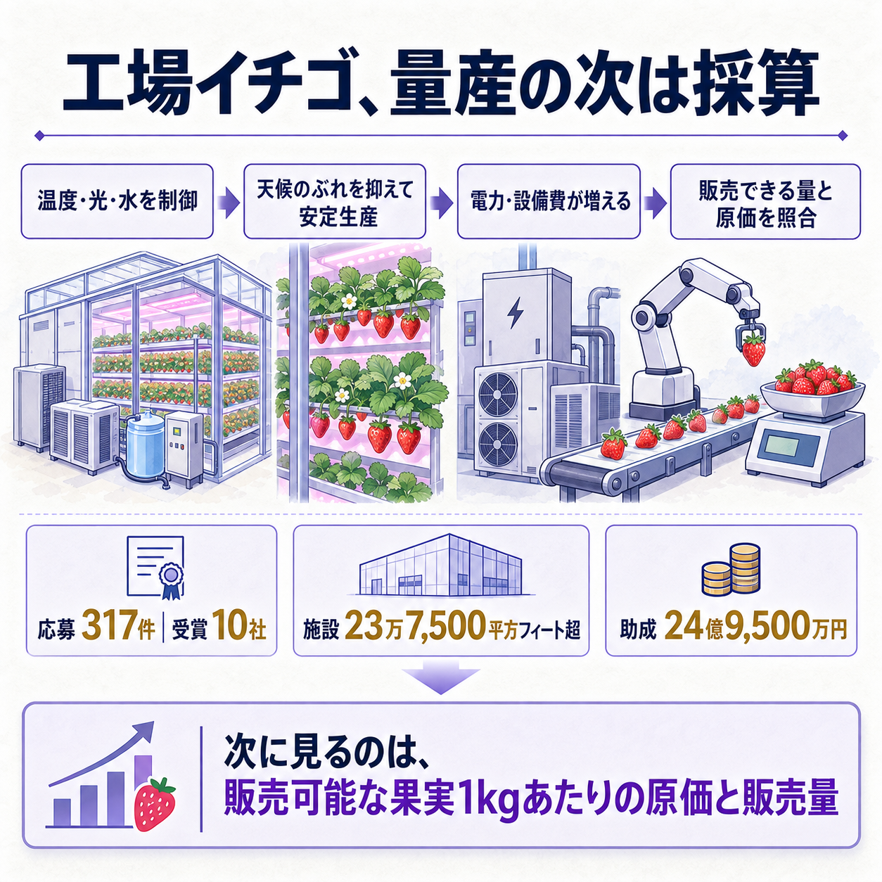 植物工場で安定量産を進めるほど、電気代と設備費が採算を左右する