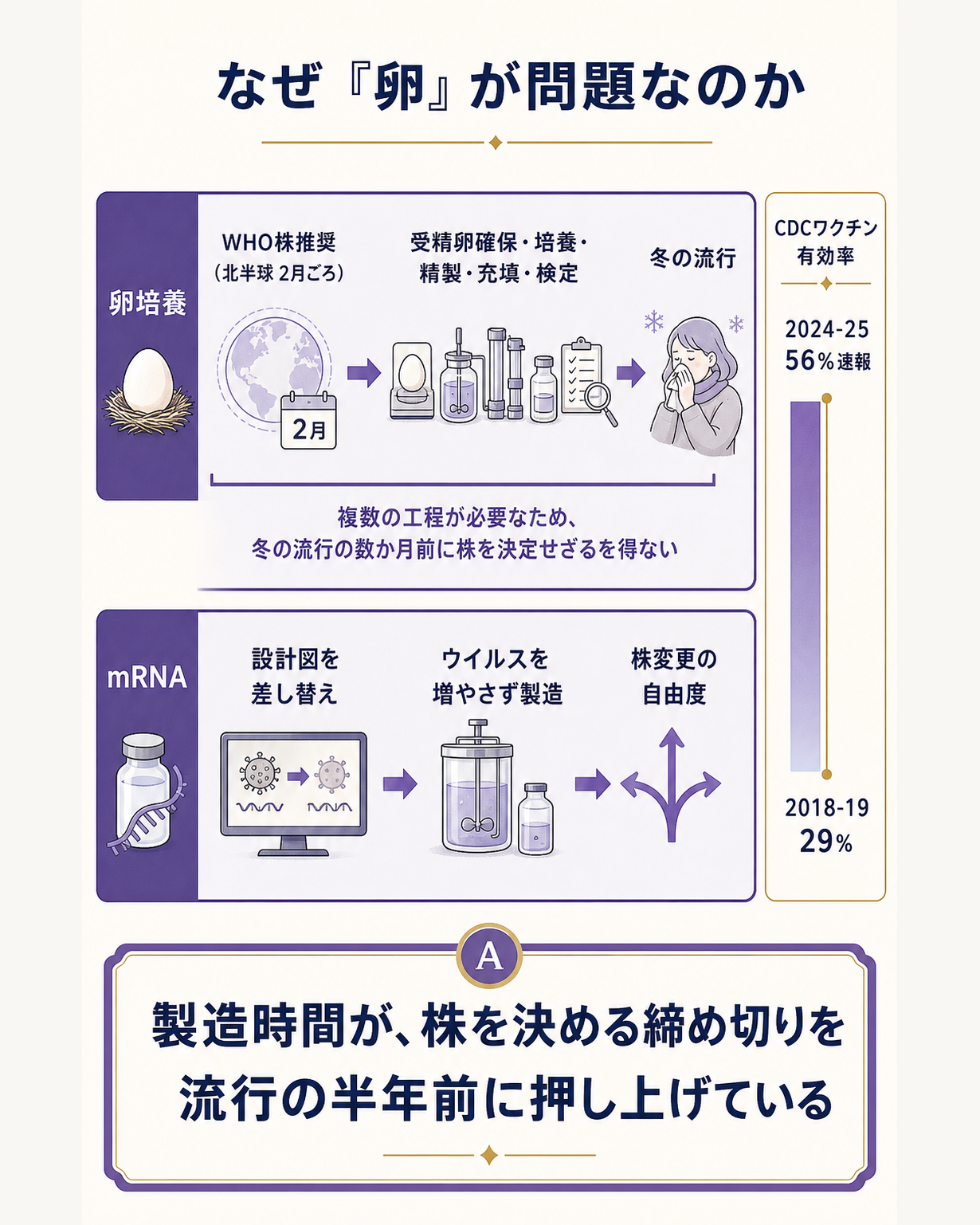 なぜ卵で作ることが問題なのかという問いに対し、WHOの株推奨が北半球で毎年2月に出され卵培養に6か月級の時間がかかるため流行の半年前に賭ける構造になっていること、その結果ワクチン有効率が29%から56%まで年ごとに揺れることを示し、mRNAは設計図の差し替えで作るためこの前倒しの幅を詰められる可能性があると答えた仕組み図
