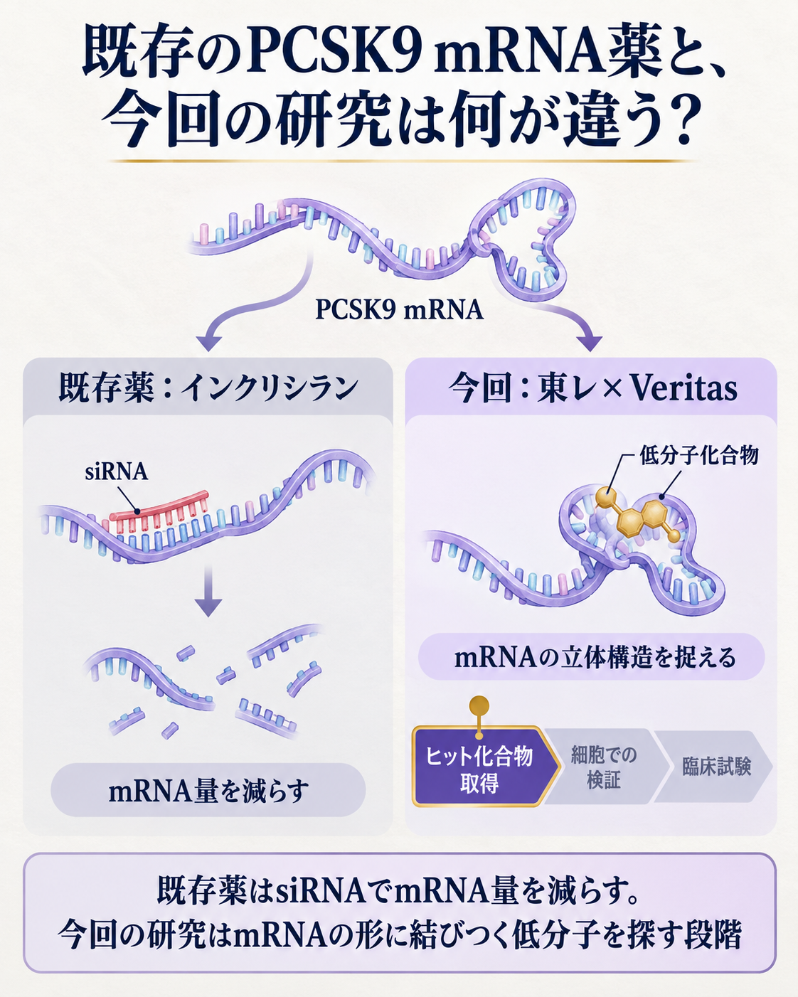 既存のRNA薬と今回の小分子研究で標的にするものの違い