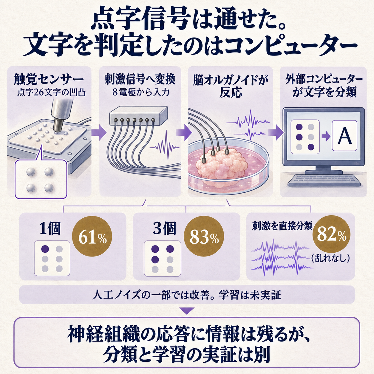 触覚センサーから脳オルガノイドを経てコンピューターが文字を分類する流れ