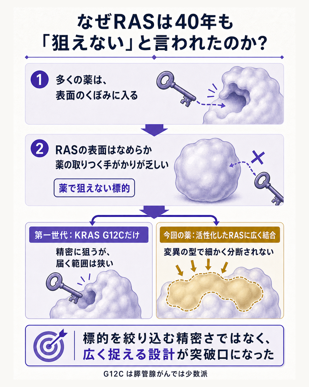 RASという標的がなぜ長く薬にできなかったのか、そして今回の薬が何を変えたのかを説明する図。問いとして、膵臓がんの原因遺伝子は40年前から分かっていたのに、なぜ薬が作れなかったのかを置く。仕組みの層では三段構えで示す。第一に、多くの薬は標的タンパク質の表面にあるくぼみにはまり込んで働くが、RASの表面はなめらかで薬の取りつく手がかりに乏しかったこと。第二に、2021年前後に登場した第一世代の阻害剤は、KRAS G12Cという特定の一変異が作る小さなくぼみを利用する設計だったため、その変異を持つ患者にしか使えず、膵管腺がんではG12C変異を持つ患者がごく少数にとどまっていたこと。第三に、今回の薬は変異の種類ごとにくぼみを探すのではなく、活性化した状態のRASそのものに広く結合する設計であり、対象となる患者層が変異のタイプで細かく分断されないこと。一文の答えとして、標的を絞り込む精密さではなく、広く捉える設計が突破口になった、と結ぶ図